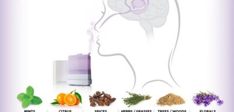 06 MAY: Essential Oils for Emotional Health – doTERRA 201 (member exclusive)