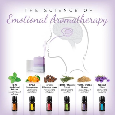06 MAY: Essential Oils for Emotional Health – doTERRA 201 (member exclusive)